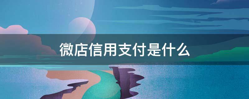 微店信用支付是什么 微店信用付怎么开通