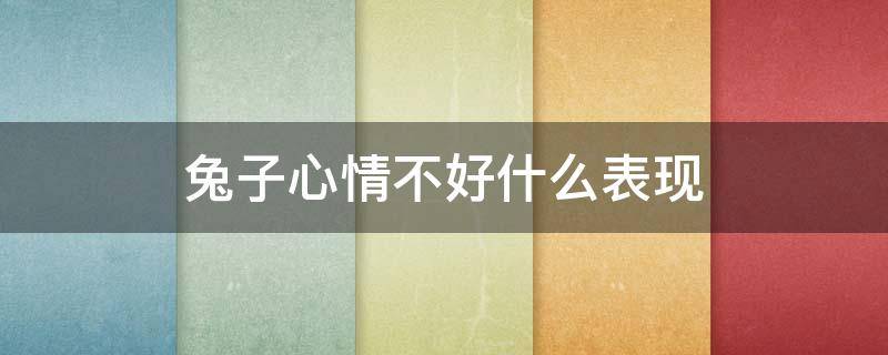 兔子心情不好什么表现 兔子有情绪吗知道开心不开心吗