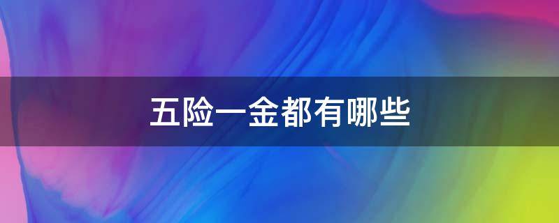 五险一金都有哪些（五险一金都有哪些险种）