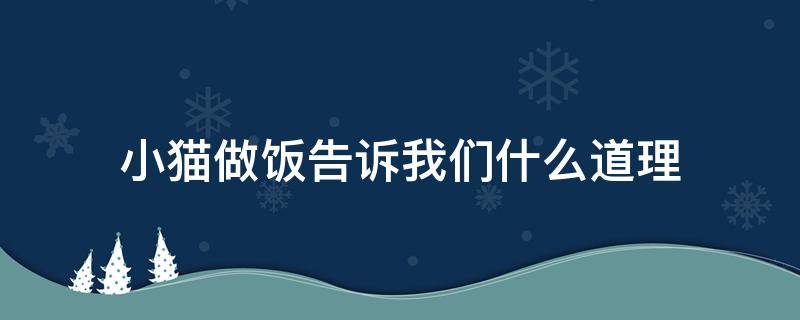 小猫做饭告诉我们什么道理（小猫做饭的主要内容是什么）