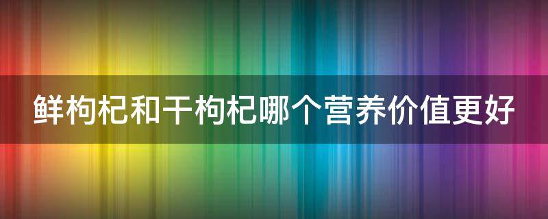 鲜枸杞和干枸杞哪个营养价值更好 鲜枸杞和干枸杞哪个营养价值更好些