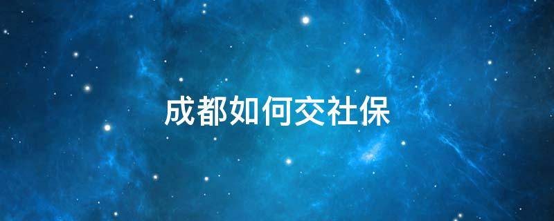 成都如何交社保 成都交社保怎么交