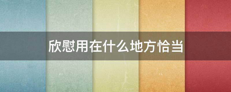 欣慰用在什么地方恰当 欣慰用在什么地方恰当欣慰能对长辈用吗问答