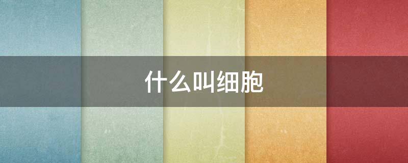 什么叫细胞（什么叫细胞免疫治疗）