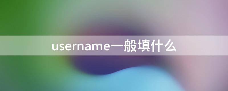 username一般填什么（username是）