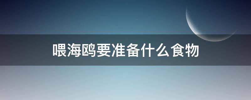 喂海鸥要准备什么食物 怎么给海鸥喂食