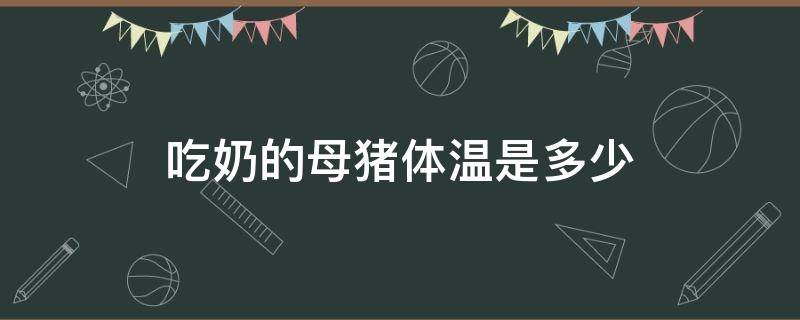 吃奶的母猪体温是多少（哺乳母猪的体温是多少?）