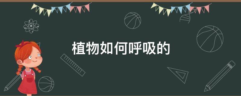 植物如何呼吸的 植物为什么要呼吸?植物是怎么呼吸的?