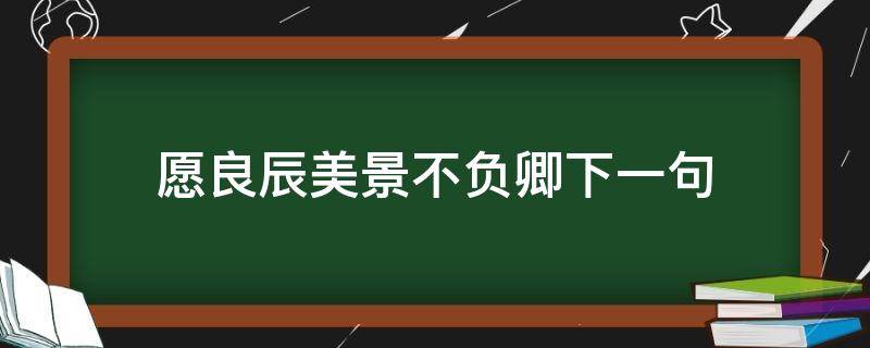 愿良辰美景不负卿下一句（良辰不负美景的下一句）