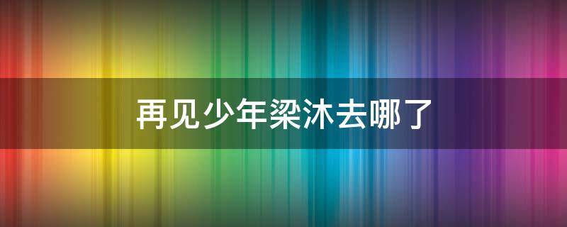 再见少年梁沐去哪了 再见少年梁木去哪了