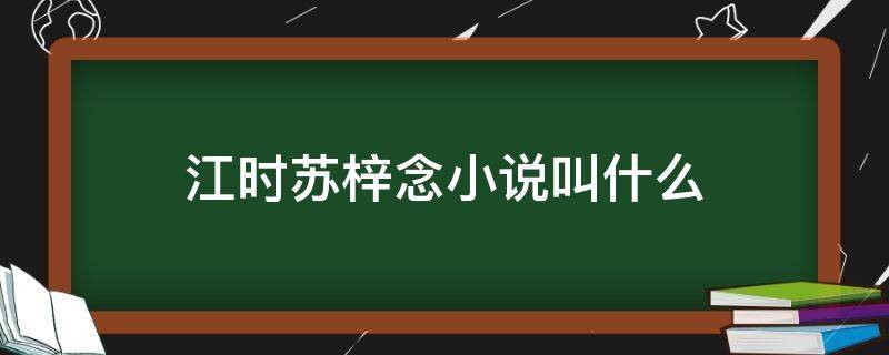 江时苏梓念小说叫什么（女主叫苏年年顾梓辰小说）