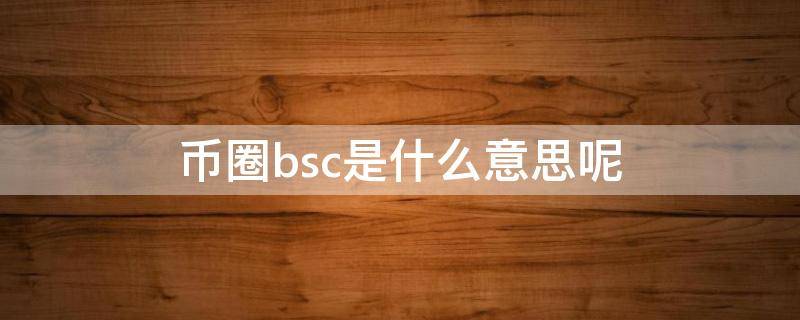 币圈bsc是什么意思呢（bsc 币圈）