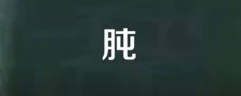 肫是什么意思（肫是什么意思生肖）