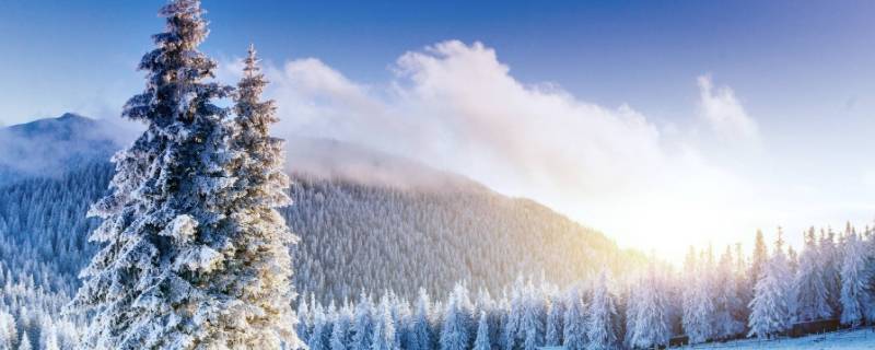 冬雪雪冬指的是哪四个节气 节气歌中冬雪雪冬指的是哪四个节气