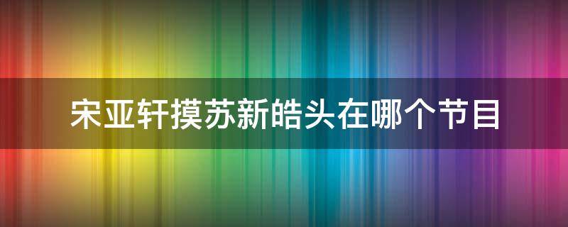 宋亚轩摸苏新皓头在哪个节目（宋亚轩苏新皓长得像）