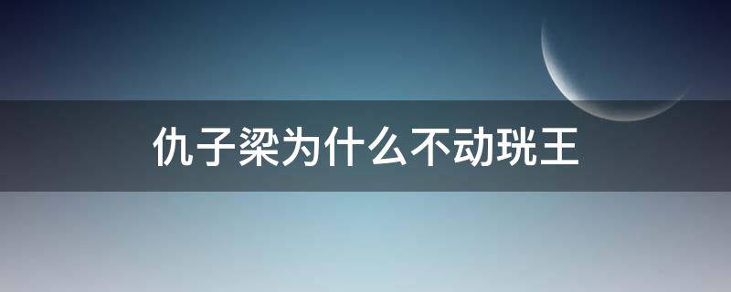 仇子梁为什么不动珖王（珖王和仇子梁什么关系）