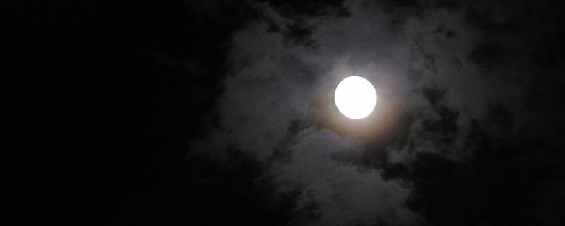 我说今晚的月亮很美你说是的含义 我说今晚的月亮那么美 你说是的