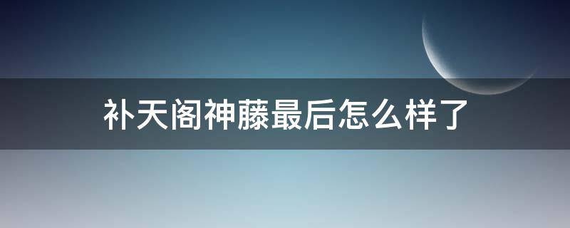 补天阁神藤最后怎么样了（补天阁的老藤）