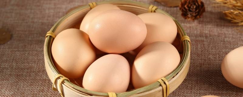 叶黄素鸡蛋与普通鸡蛋的区别 叶黄素对蛋鸡的作用