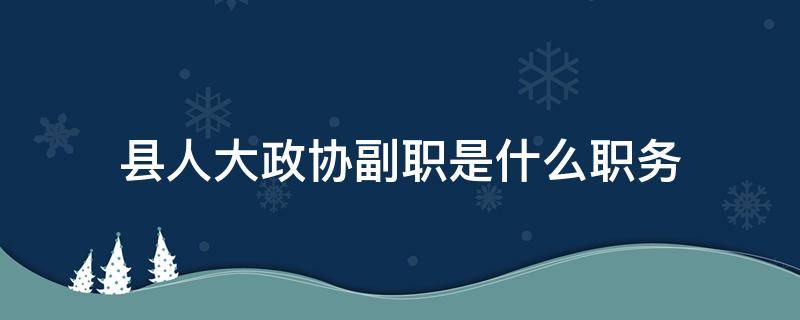 县人大政协副职是什么职务（县人大政协副职是什么职位）