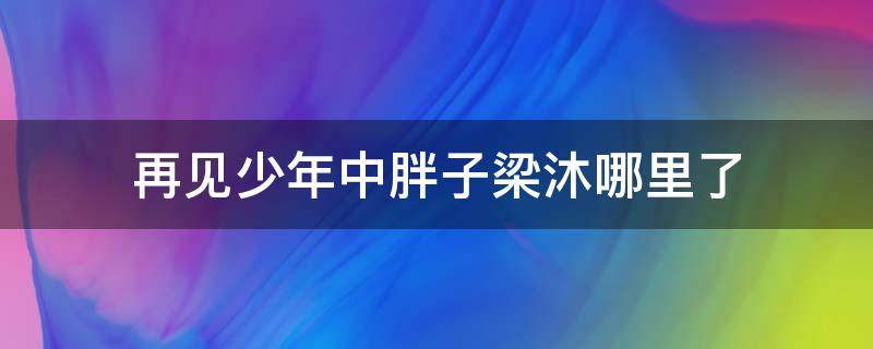 再见少年中胖子梁沐哪里了 再见少年梁沐为什么失踪了