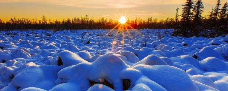 今年会下雪吗表达的意思（下雪意味什么）