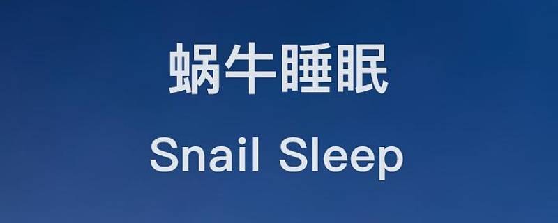 蜗牛睡眠的精选鼾声是全部吗（蜗牛睡眠 打鼾）