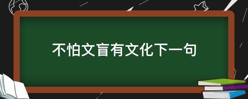 不怕文盲有文化下一句 文盲不是没文化下一句是什么