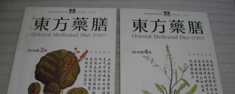 东方药膳哪个网收录 东方药膳知网收录