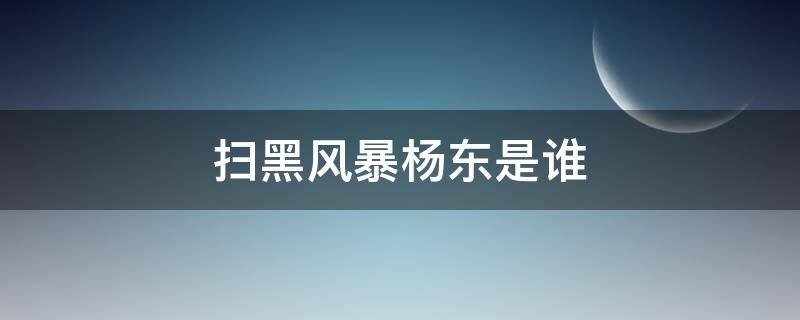 扫黑风暴杨东是谁 扫黑除暴杨东