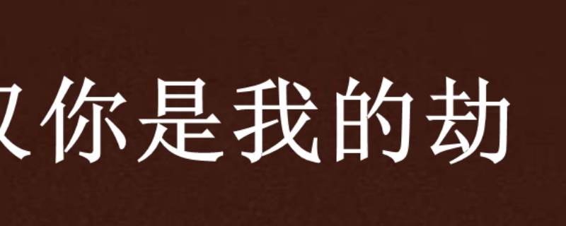 你是我的劫前面一句是什么 我是你的劫这句话的含义