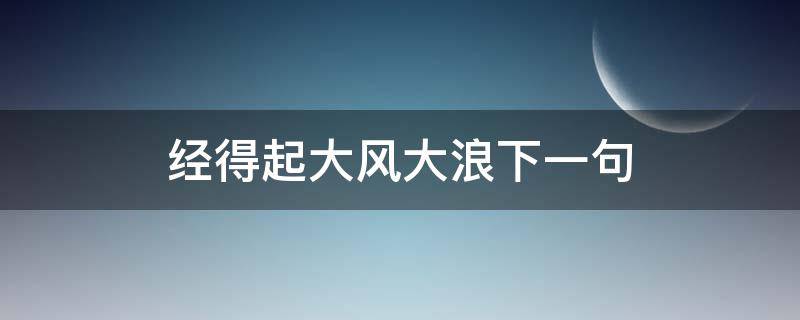 经得起大风大浪下一句 经得起大风大浪的意思