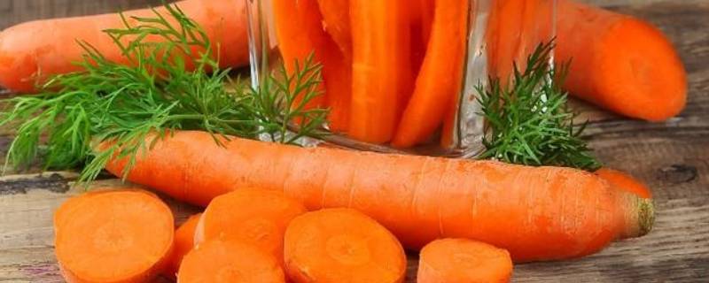 胡萝卜可以做什么菜 青椒黄瓜胡萝卜可以做什么菜