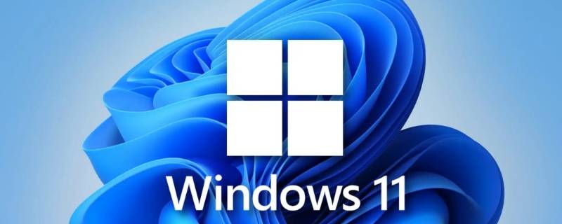 win11连不上网（Win11连不上网络）