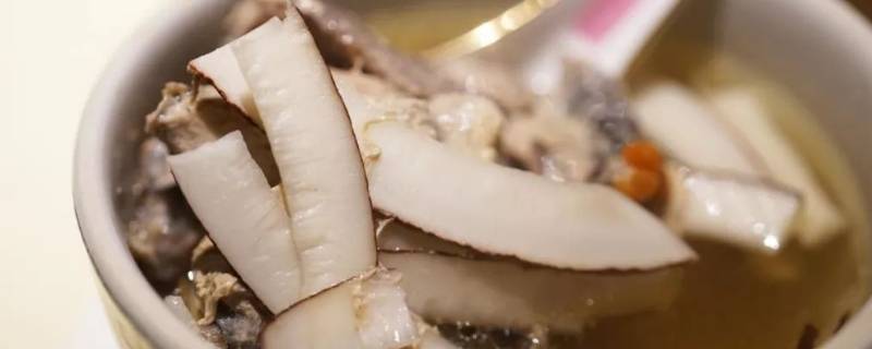 椰子螺煮多久 椰子螺煮多久才能煮软