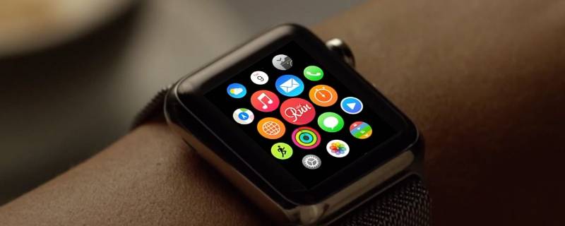 iwatch表盘上显示步数 applewatch表盘显示步数