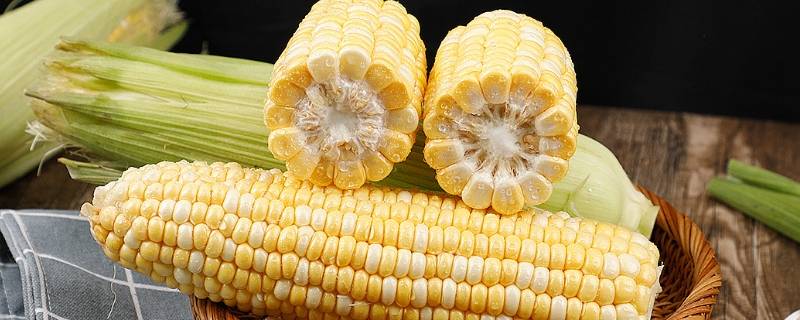 玉米的保鲜与贮藏 玉米储存方法