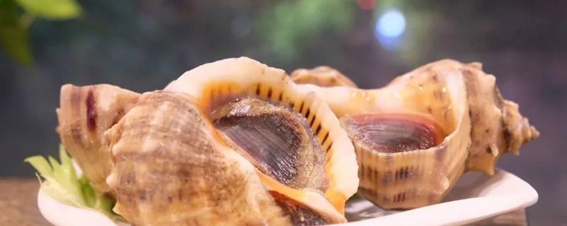 海螺怎么吃法家庭吃法 海螺怎么吃法家庭吃法,白灼大虾怎么做