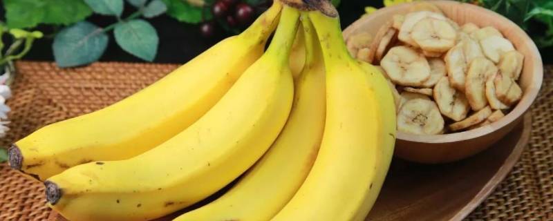 用香蕉怎么做美食 用香蕉怎么做美食简单