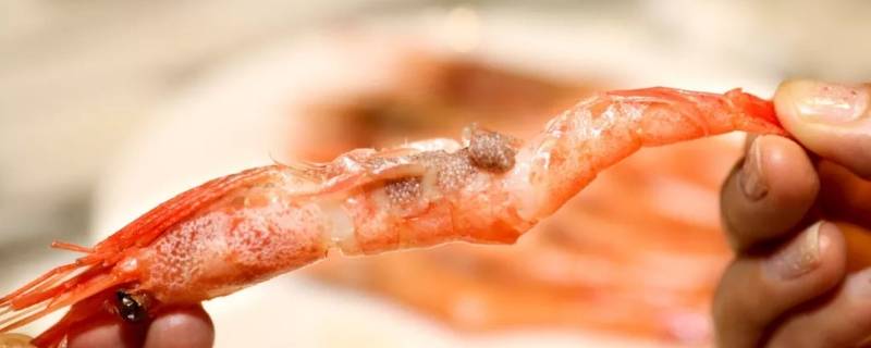 甜虾怎么做好吃 北极甜虾怎么做好吃