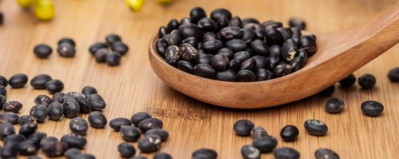 黑豆怎么吃好吃又简单 黑豆最好吃的方法怎么吃呢