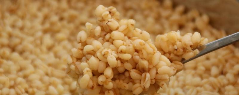 小麦仁怎么做好吃 麦仁怎样做好吃