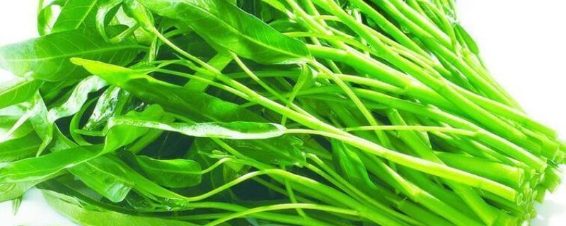 竹叶菜怎么做好吃 竹叶菜怎样做好吃