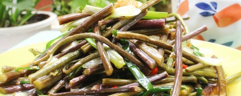 野蕨菜怎么做好吃 野菜蕨菜怎么做好吃