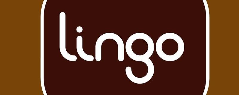 lingo是什么软件 lingo软件教程