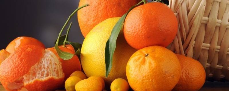为什么水手常吃柑橘类水果（为什么水手常吃柑橘类水果蚂蚁庄园）