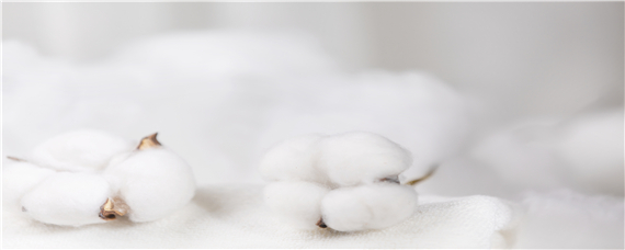 棉花是几月份开始种植（棉花在几月份种植）
