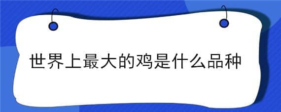 世界上最大的鸡是什么品种 世界上最漂亮的鸡品种