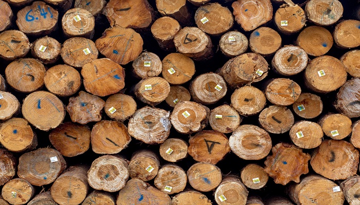 碳化木和防腐木的区别
