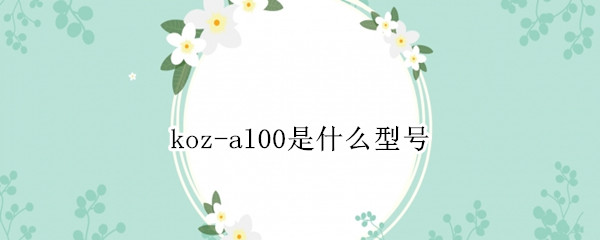 koz-al00是什么型号（jkm-al00b是什么型号）